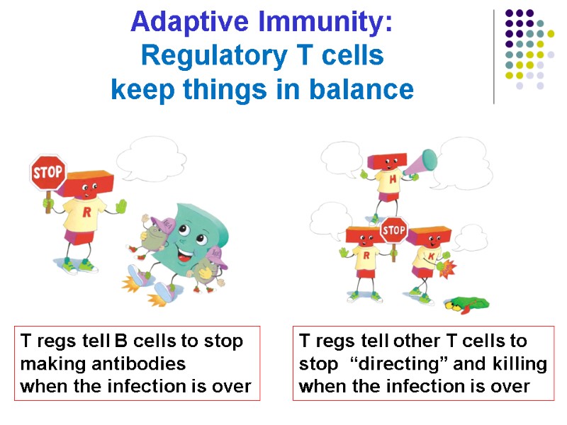 Adaptive Immunity: Regulatory T cells         